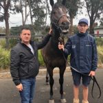 Pat with the I Am Invincible 2yo colt