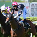 Race Horse Syndication Melbourne