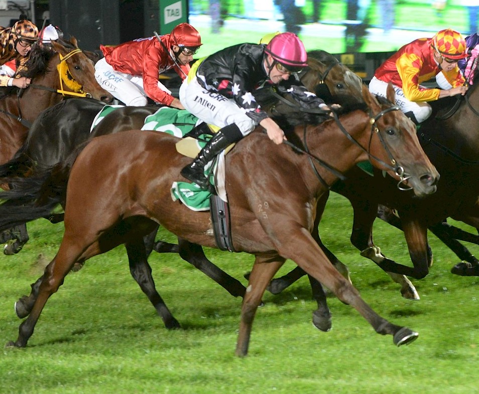 Wealthy Wolf Cranbourne