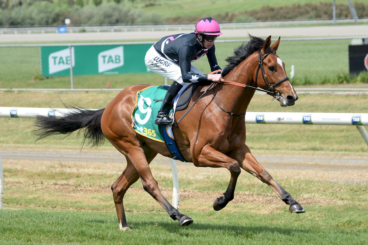 Open Minded (NZ) ridden by Damien Thornton
